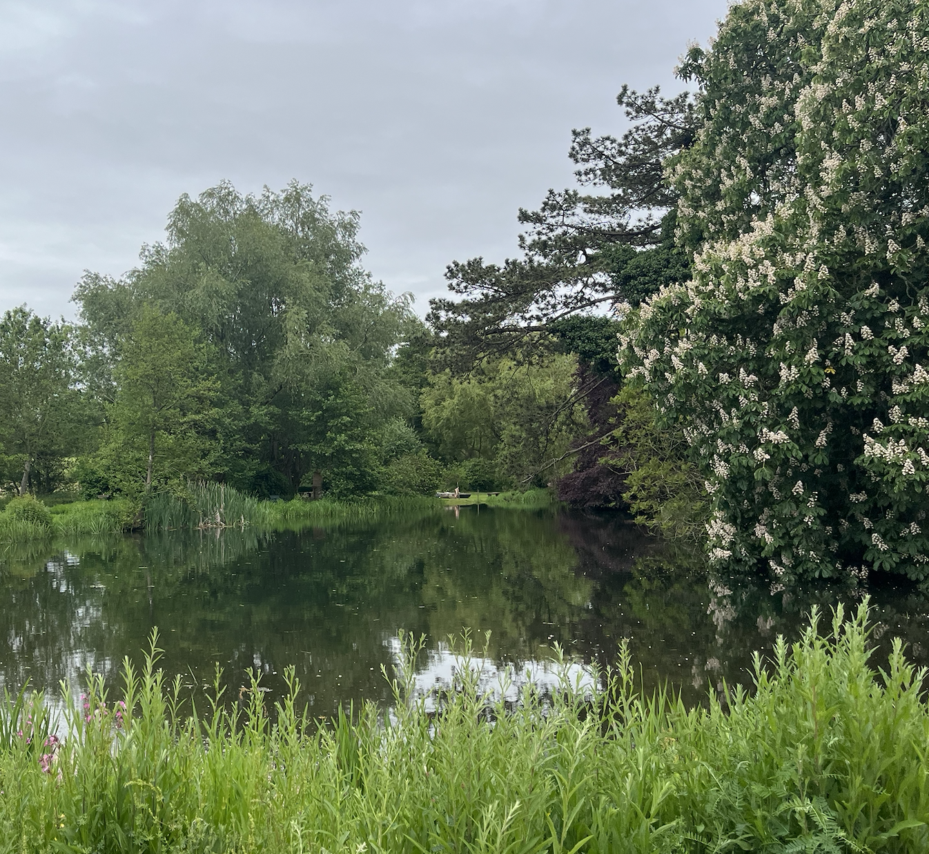 Screenshot 2025-05-25 at 23.00.17